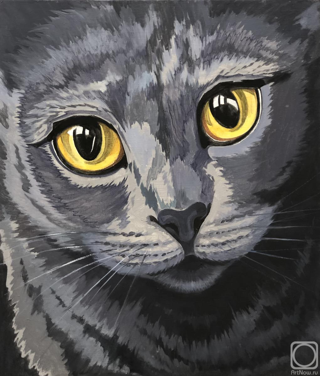 ������� ������ �� ������. ������-������� �����. �����