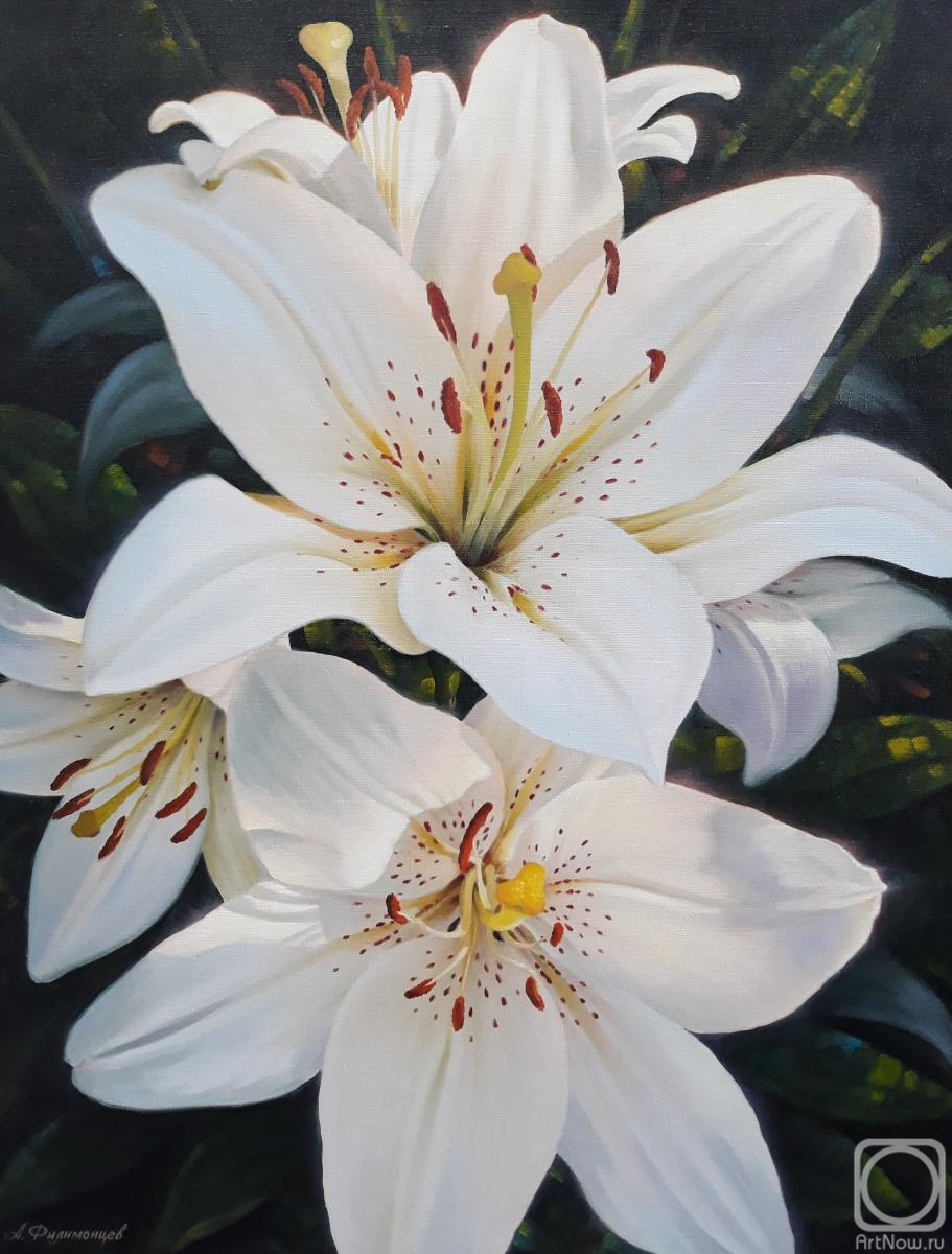 ������� ������ �� ������. ���������� ������. ����� �����