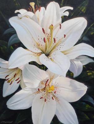 ����� �����. ���������� ������