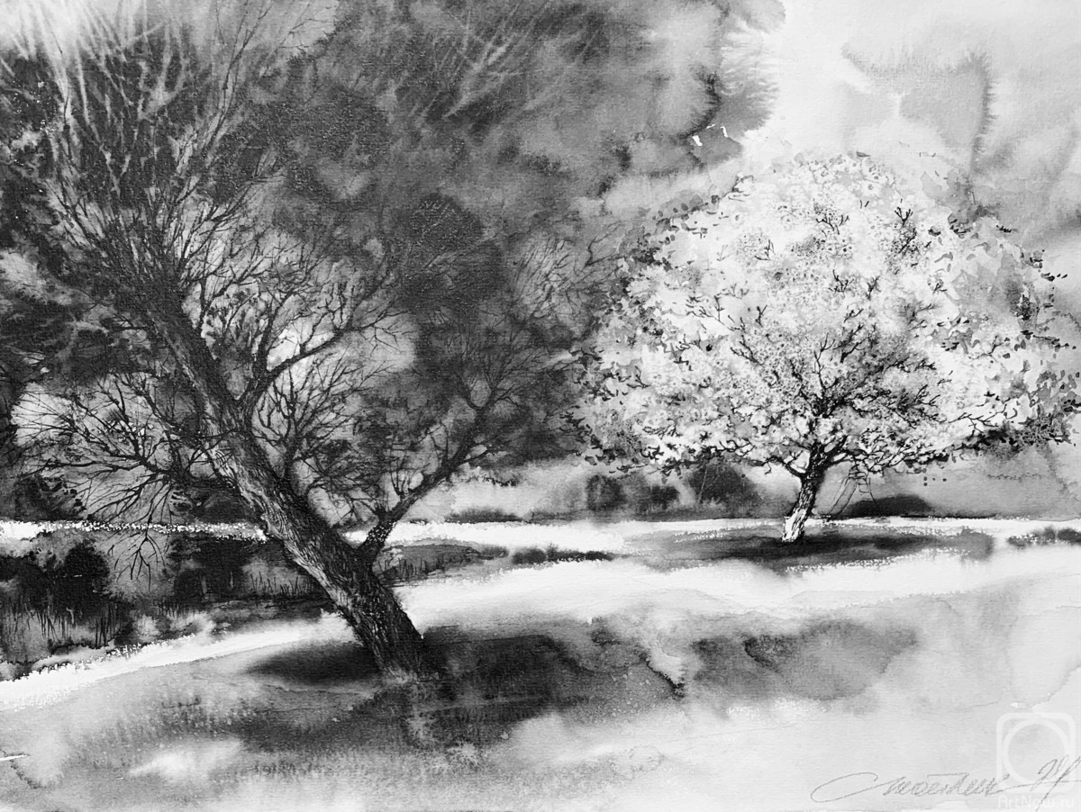 Stoylik liudmila. Apple Orchard (2)