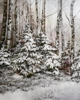 ������ ���