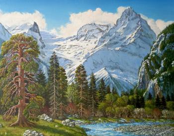 ������ ������. �������� �����