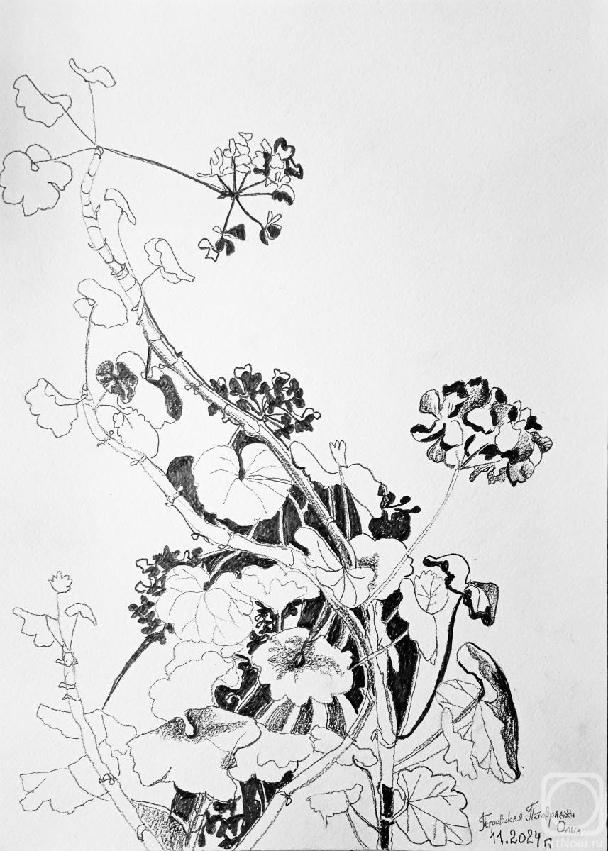 �������. ����������-���������� �����. �������� ������