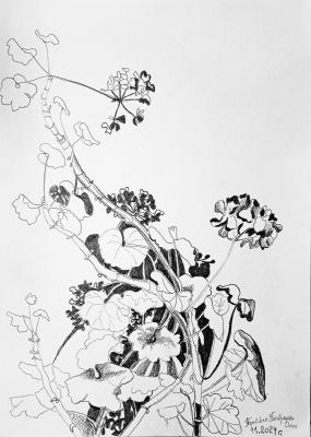 ������� ��������� �������