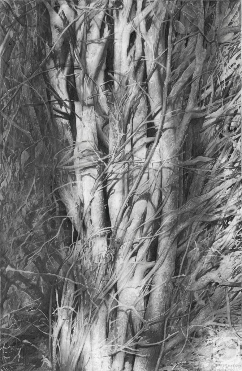 �������. ������ �����. ���������� ������������ ����