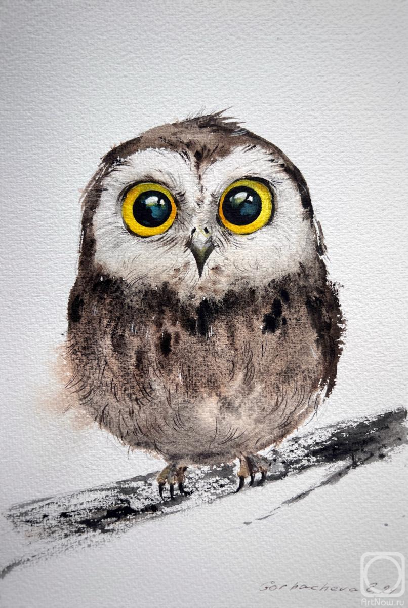 �������. ��������� �������. ������� �� ����� 20