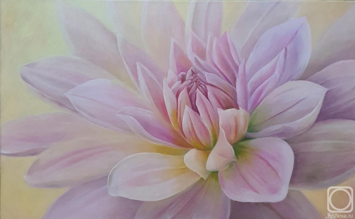 ������� ������ �� ������. ���� �����. ��������� �������