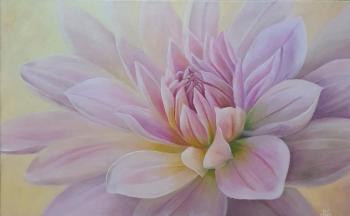 ��������� ������� (����������). ���� �����