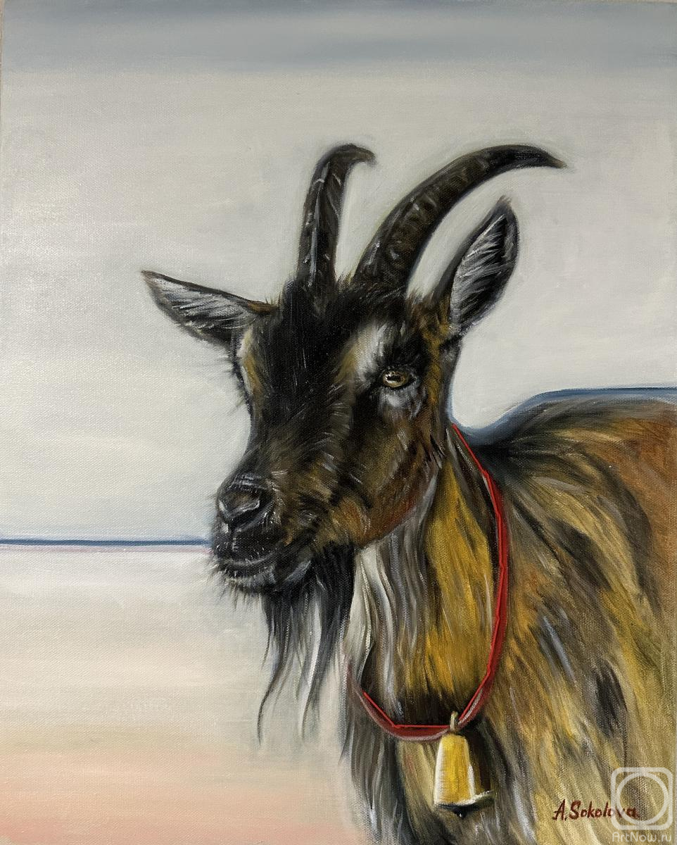 ������� ������ �� ������. �������� ����. �������� ������