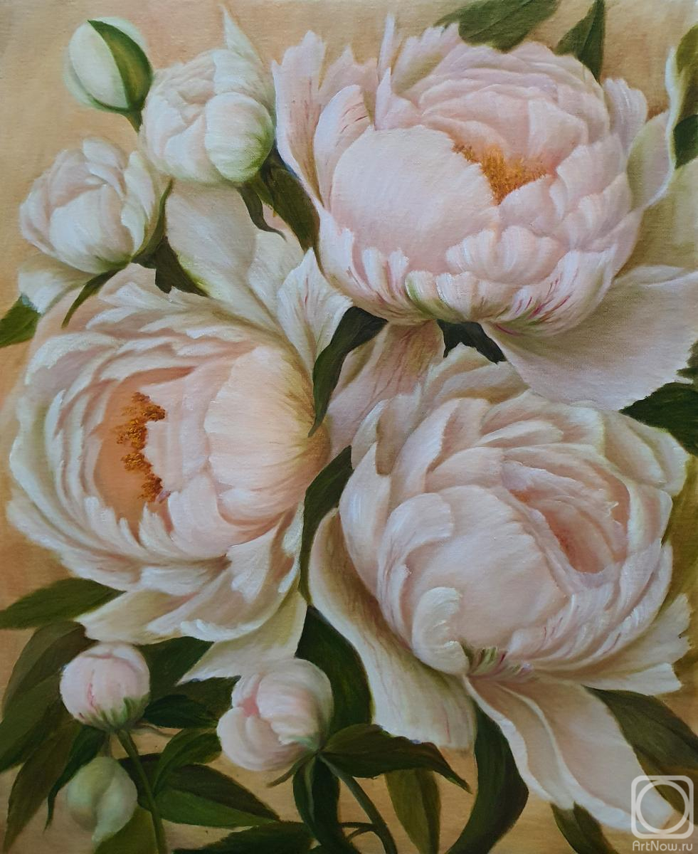 Poda Elena. White peonies
