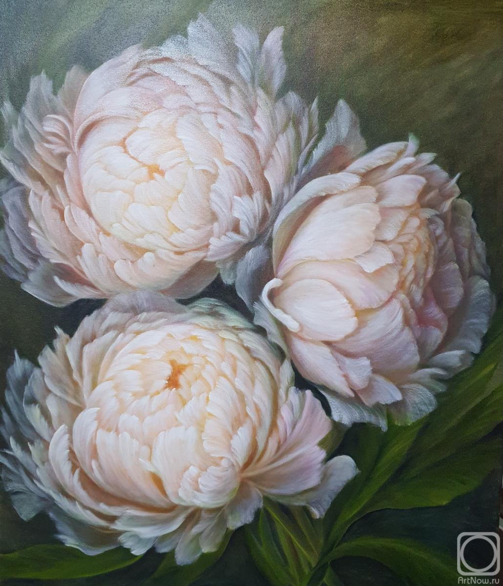 ������� ������ �� ������. ���� �����. ����������� �����