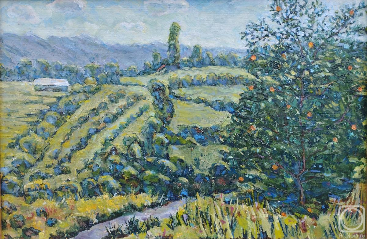 �������. ��������� �����. ������������ �������