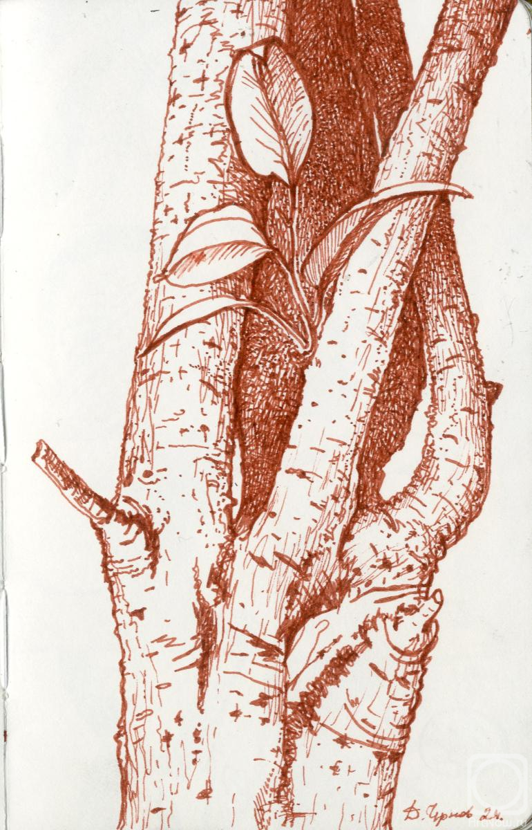 �������. ������ �����. ��������� ������