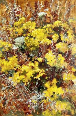 Tansy, immortelle, wormwood