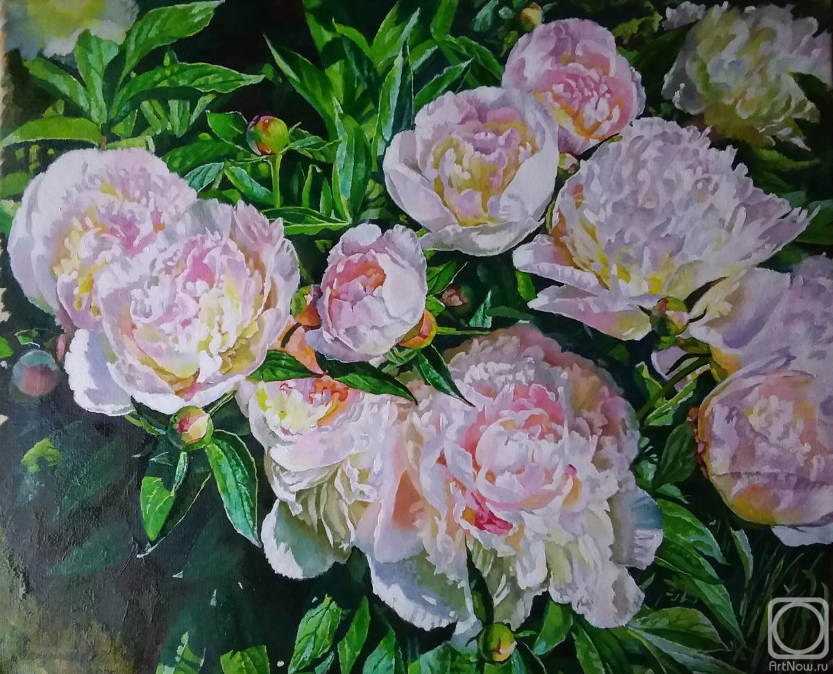 ������� ������ �� ������. ��������� ��������. ����� � �����