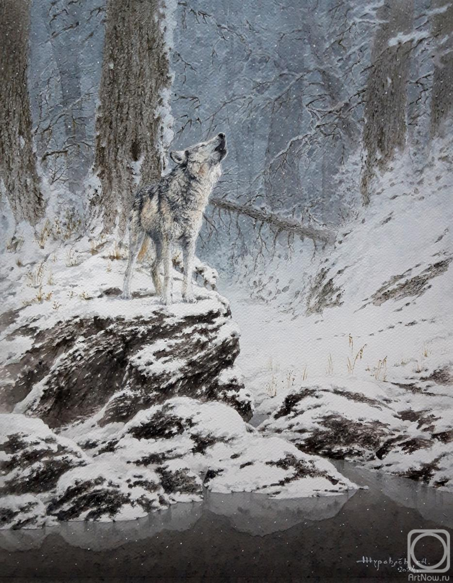 �������. �������� ���������. ����