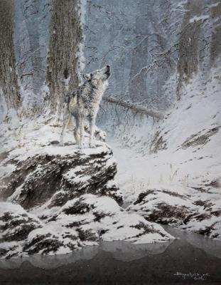 ����. �������� ���������