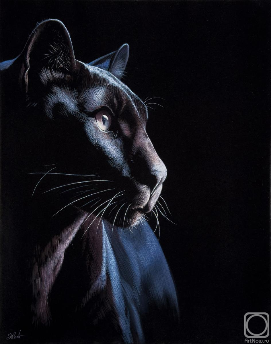 �������. ������ �������. �������