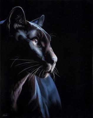 ������� (���������). ������ �������