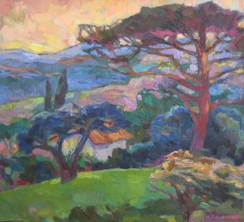 ������� ������, ����, ��