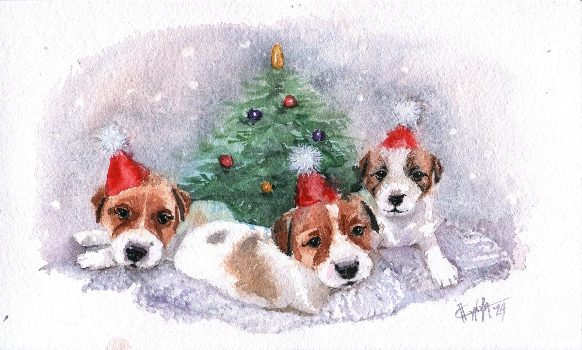 �������. ������ �������. ���������� ��������. ���� ������