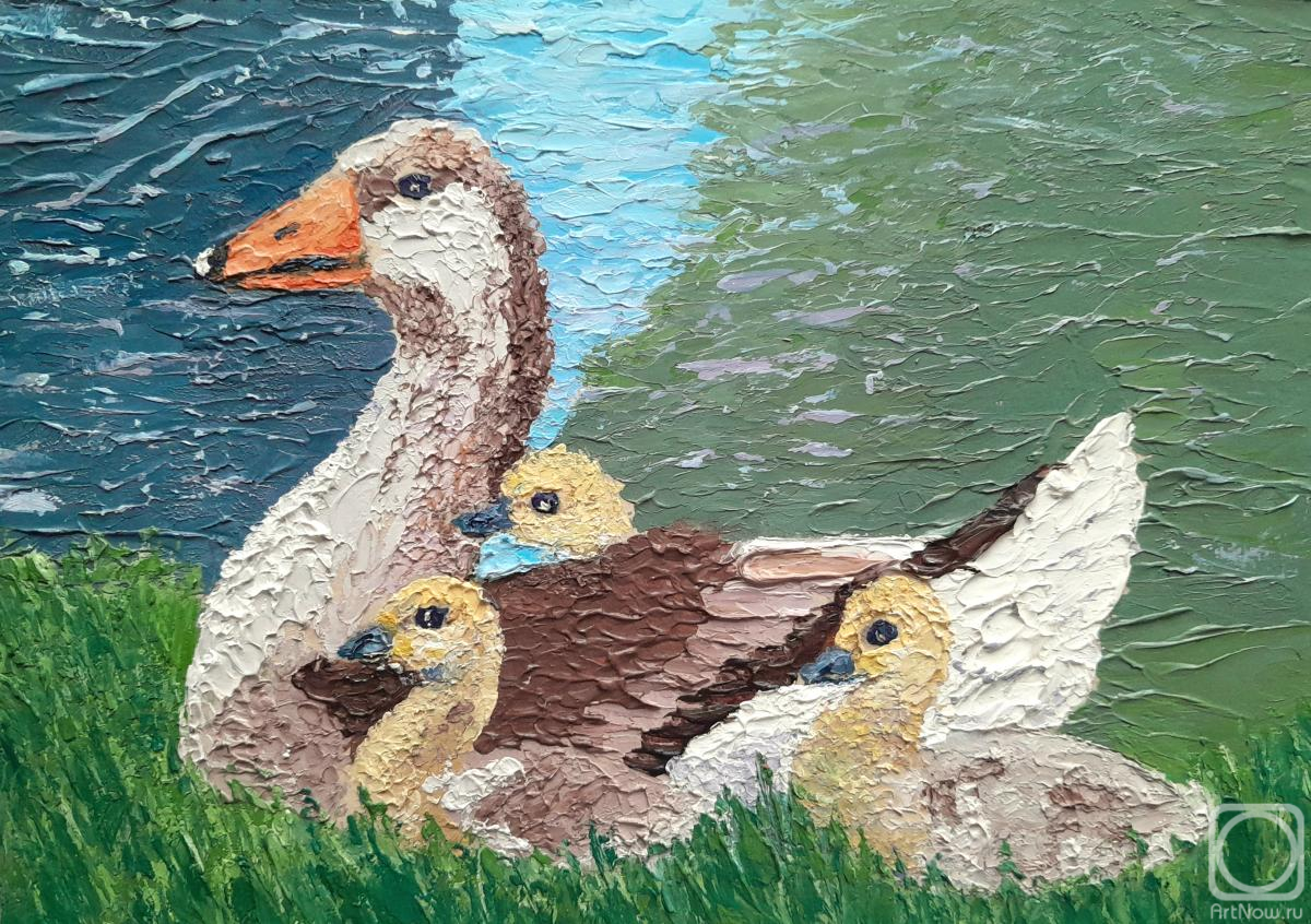 �������. �������� ���������. ������� ���������