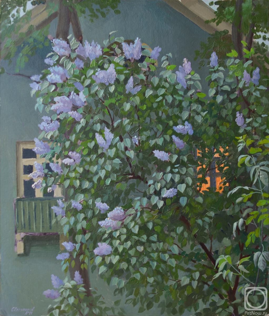 Svyatchenkov Anton. Lilac