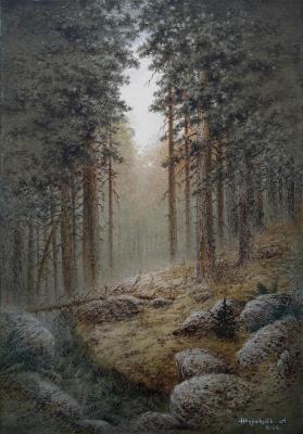 ���� (�������� ���). �������� ���������