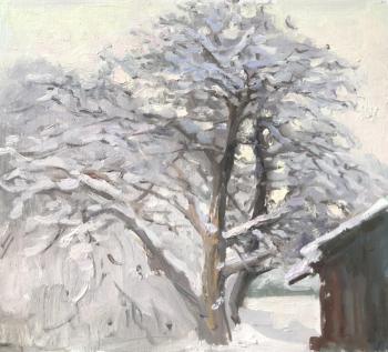 ������� ���������