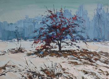 ���������� ����. ���������� �������