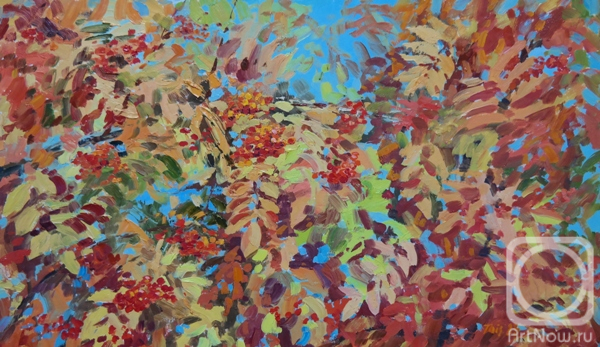 Shirobokova Taisiya. Untitled