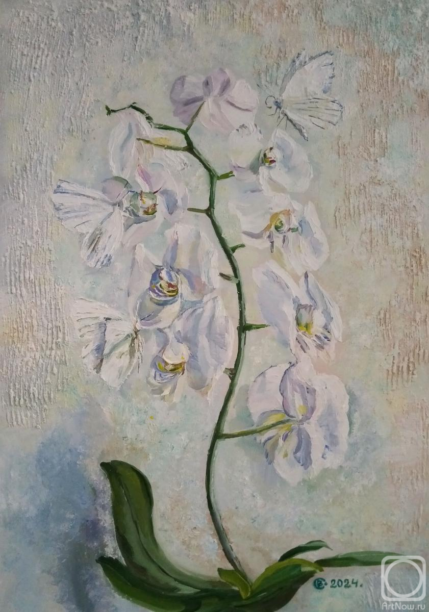 ������� ������ �� ������. �������� ����. ����� �������