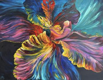 ������� ������������ �� �������