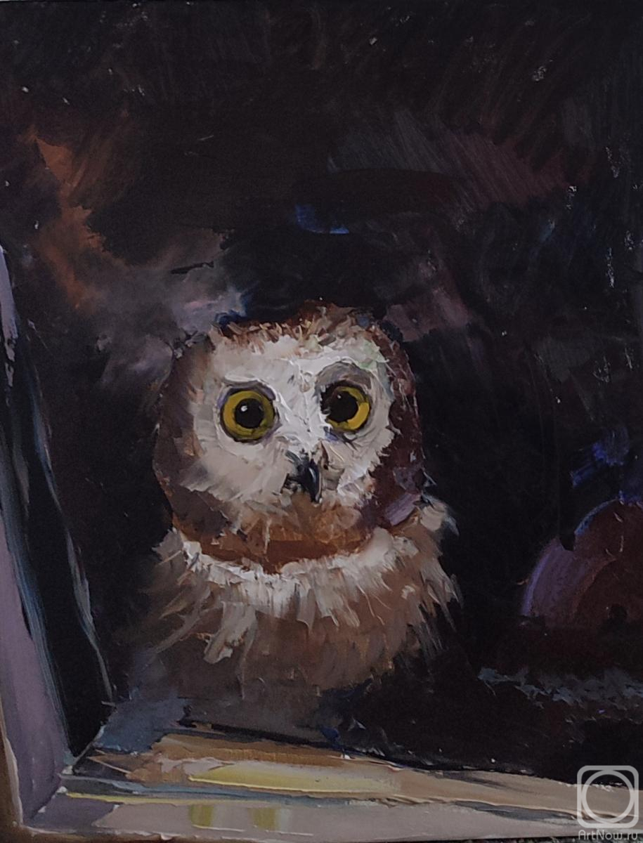 ������� ������ �� ������. ���������� �������. � ����� ��������