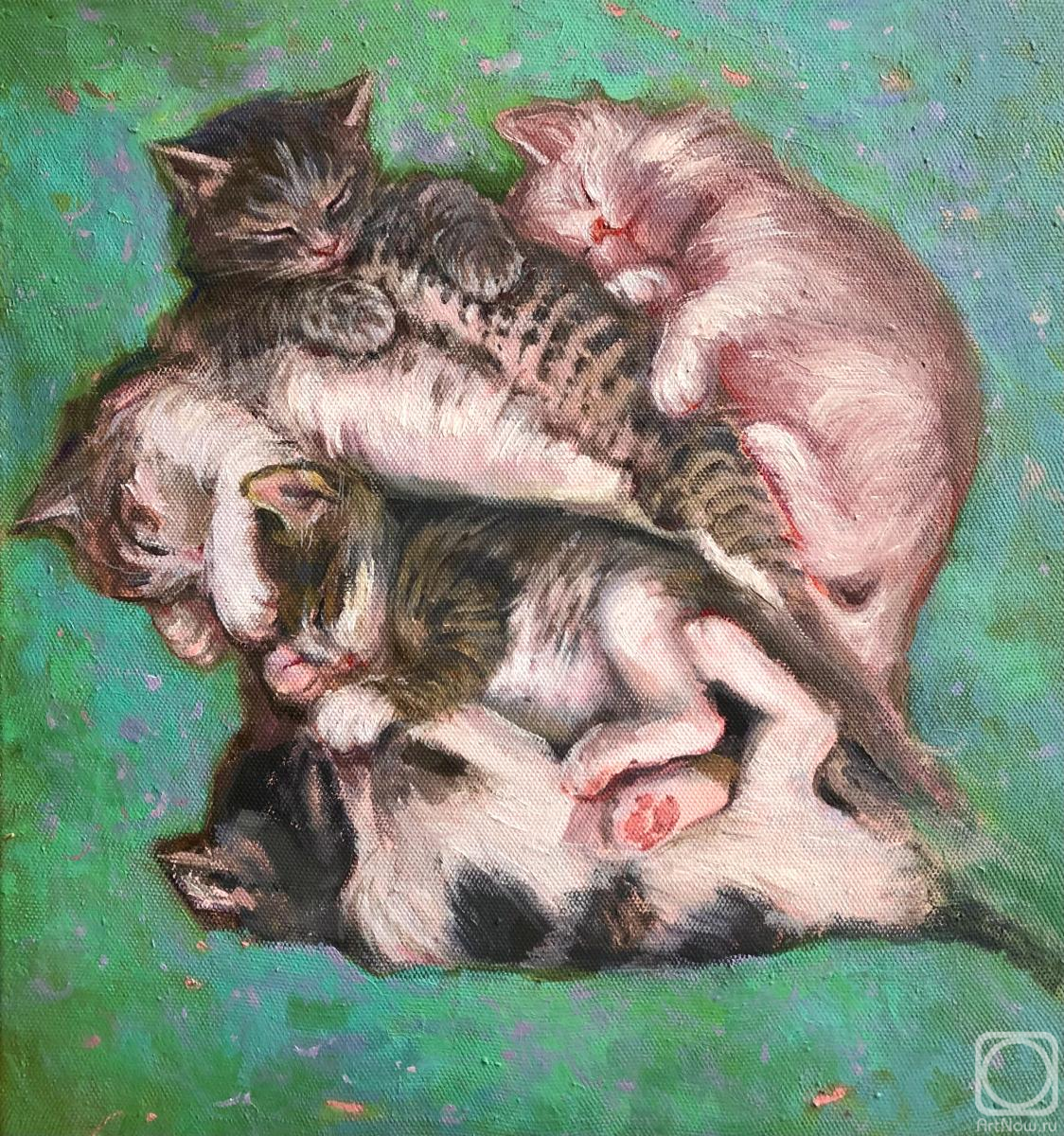 ������� ������ �� ������. ������-������� �����. ������� ������