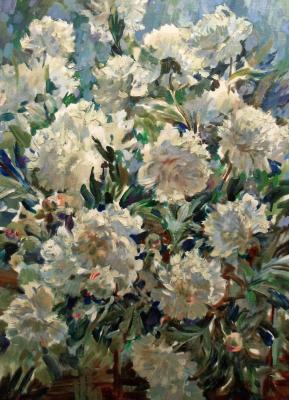 ������� ������ ����� �� ������