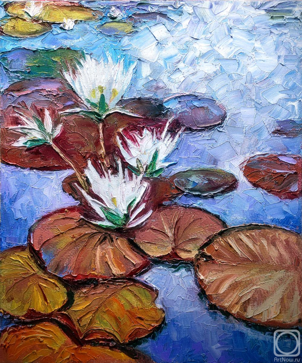 ������� ������ �� ������. �������� �����. �����