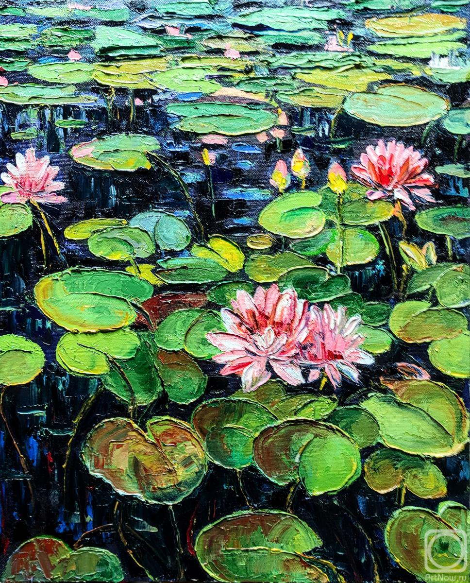 ������� ������ �� ������. �������� �����. ������� �����