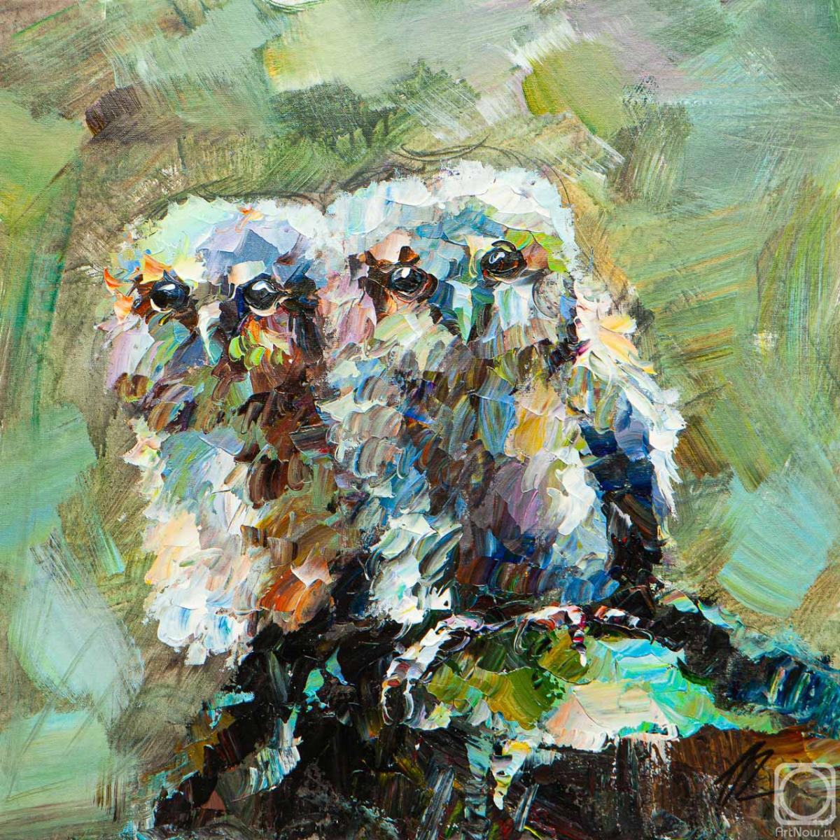 ������� ������ �� ������. �������� ����. ������� ������. ����� "�����"