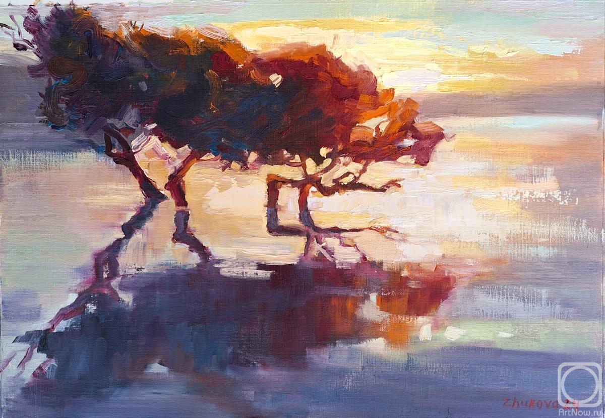 �������. ������ ������. ��������� �������