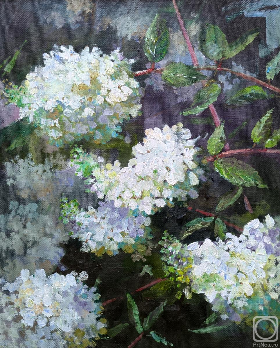 ������� ������ �� ������. ������ ���������. ���������