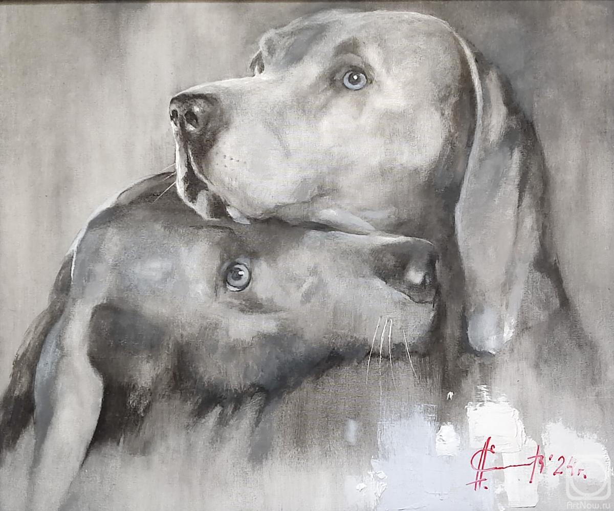 �������. ������� ���������. ������ �������