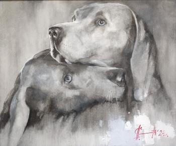 ������ �������