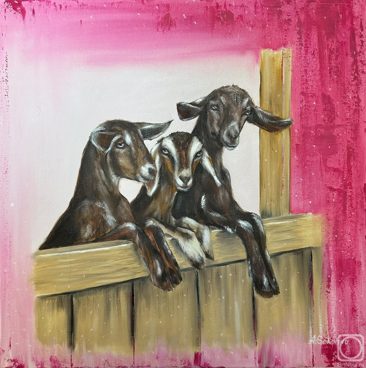 ������� ������ �� ������. �������� ����. ��������