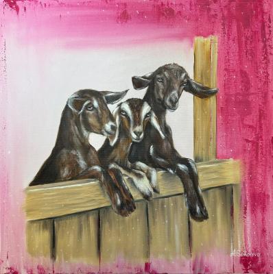 ������� ���������