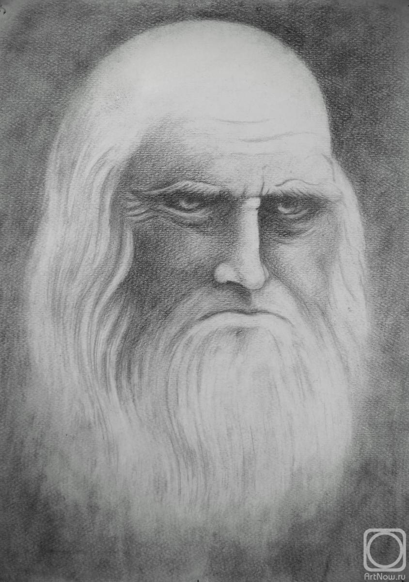 �������. ������� �������. ��������2