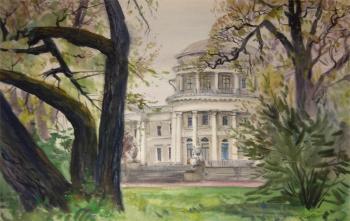 C����- ���������. ��������- �������� �������� ������ ������. ���������� ����