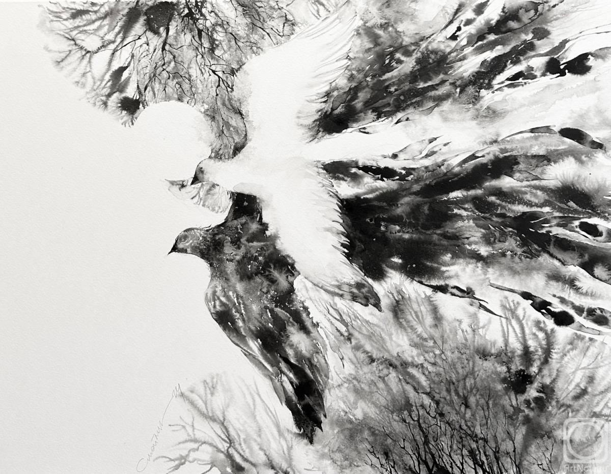 �������. ������� �������. �����