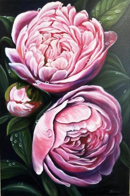 ������� ������ � ����