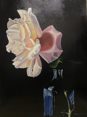 ������� �����